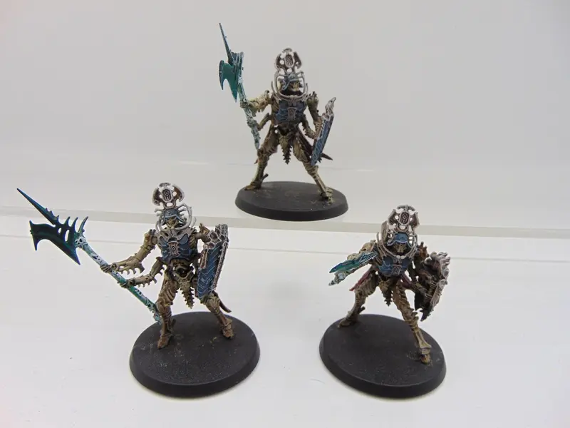 Immortis Guard