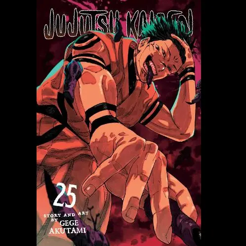 Jujutsu Kaisen Vol. 25 | Manga Graphic Novel