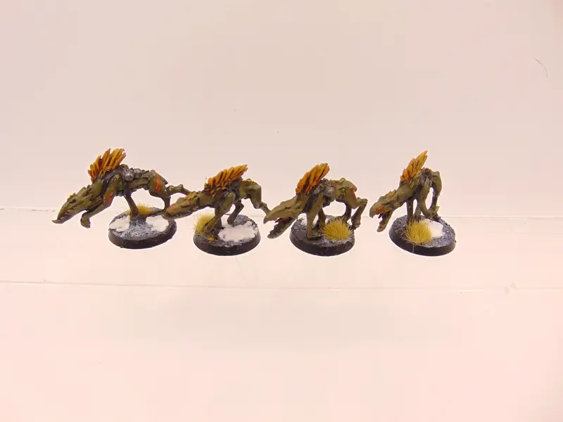 Kroot Hounds