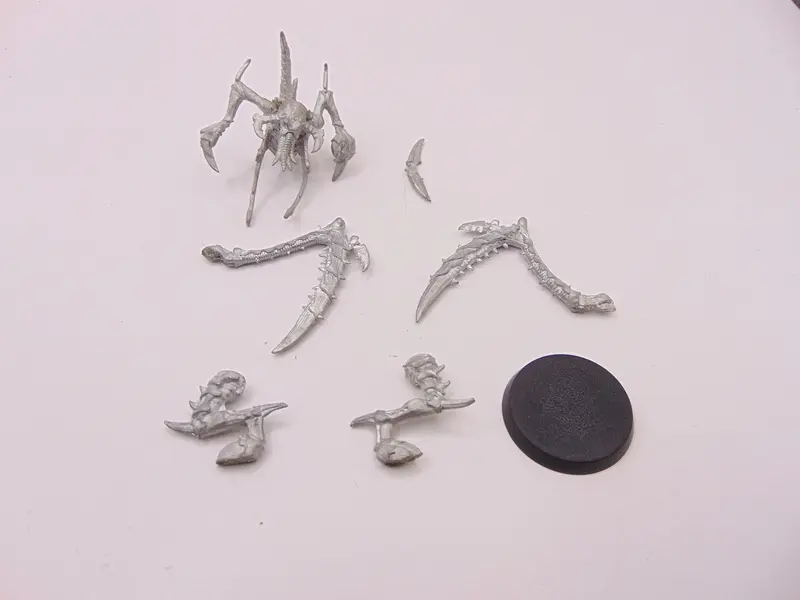 Lictor
