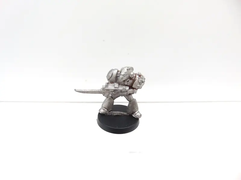 Marine with Terminator Honours