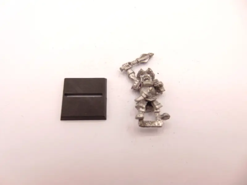 MB2 Orc Regiment Leader