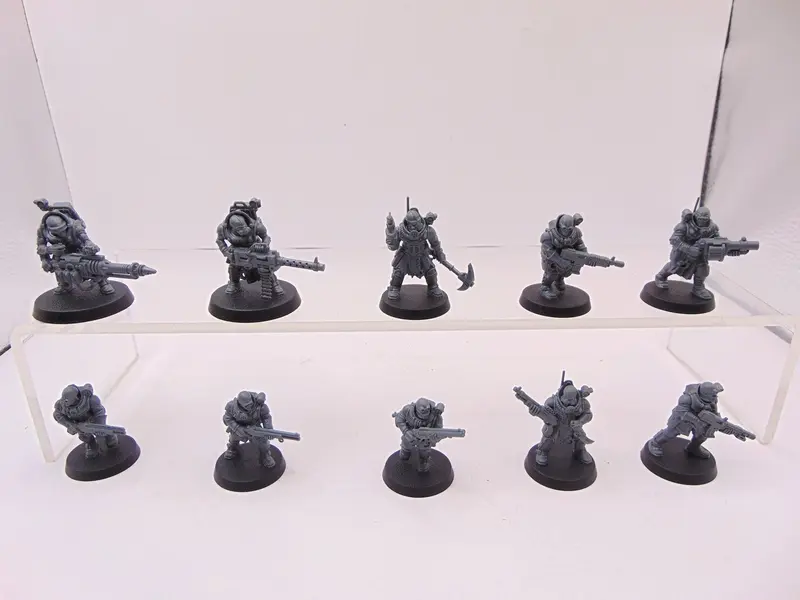 Neophyte Hybrids