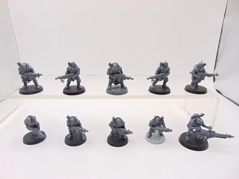 Neophyte Hybrids