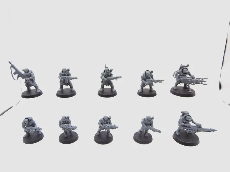 Neophyte Hybrids