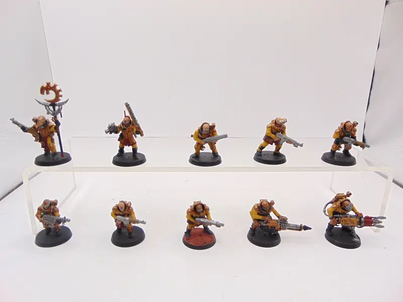 Neophyte Hybrids
