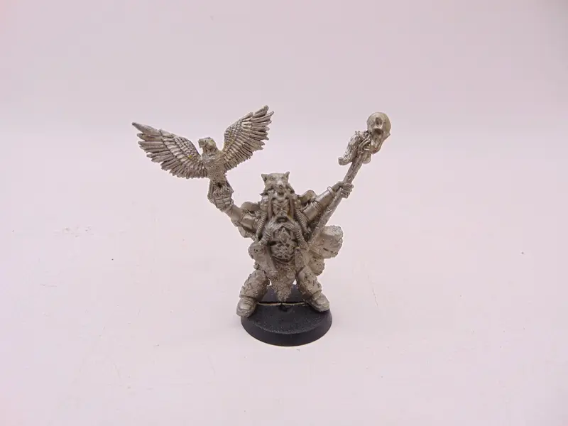 Njal Stormcaller