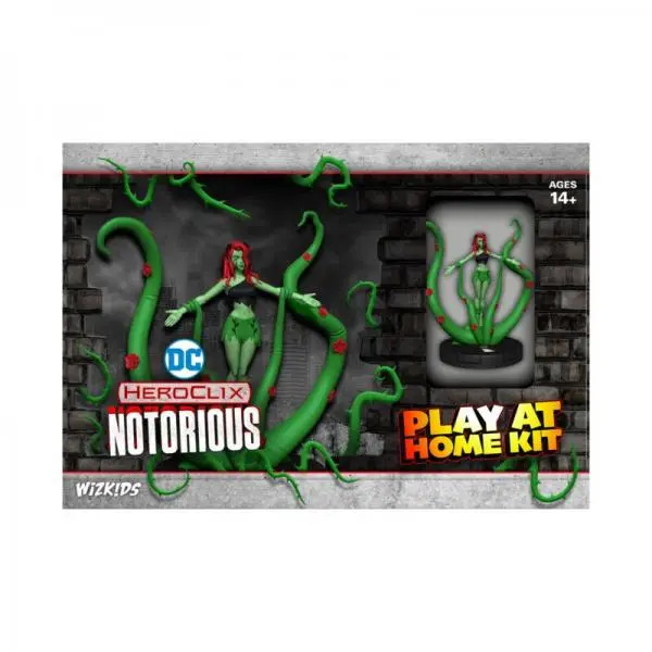 Notorious Play at Home Kit