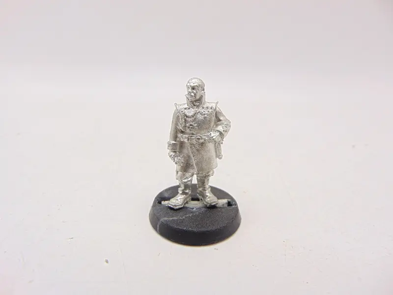 Officer of the Fleet