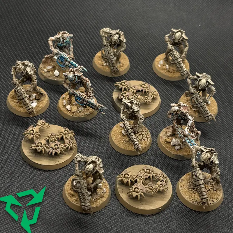 Part-Painted Textured Necron Warriors
