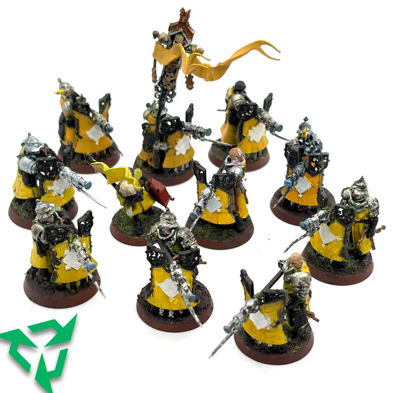 Preloved Cities of Sigmar Freeguild Fusiliers