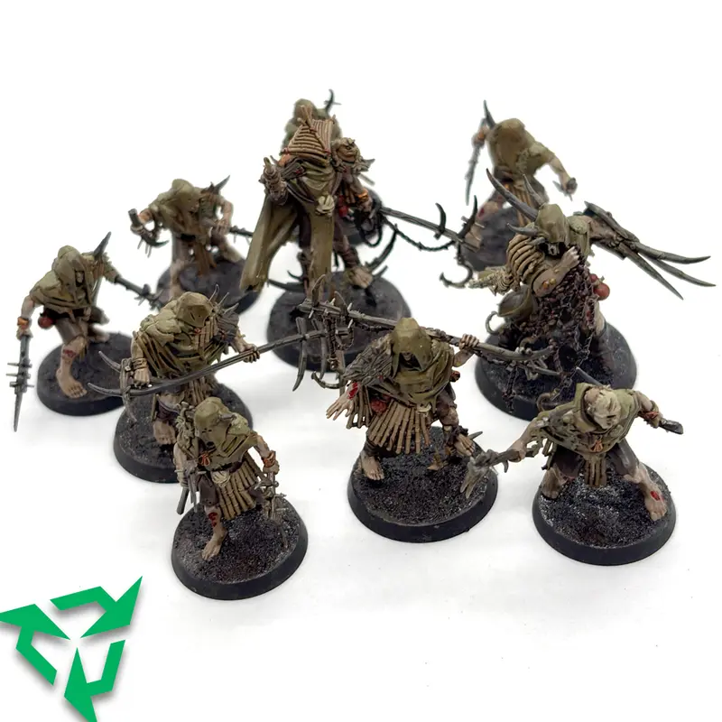 Preloved Painted Rotmire Creed Warband