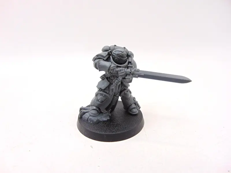 Primaris Company Champion