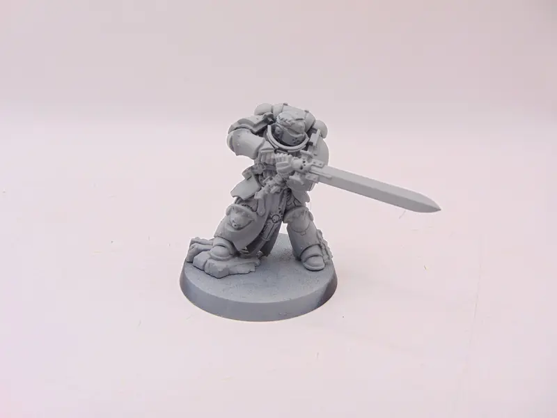 Primaris Company Champion
