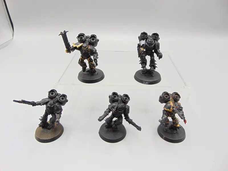 Raptors