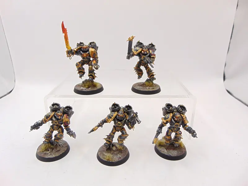 Raptors