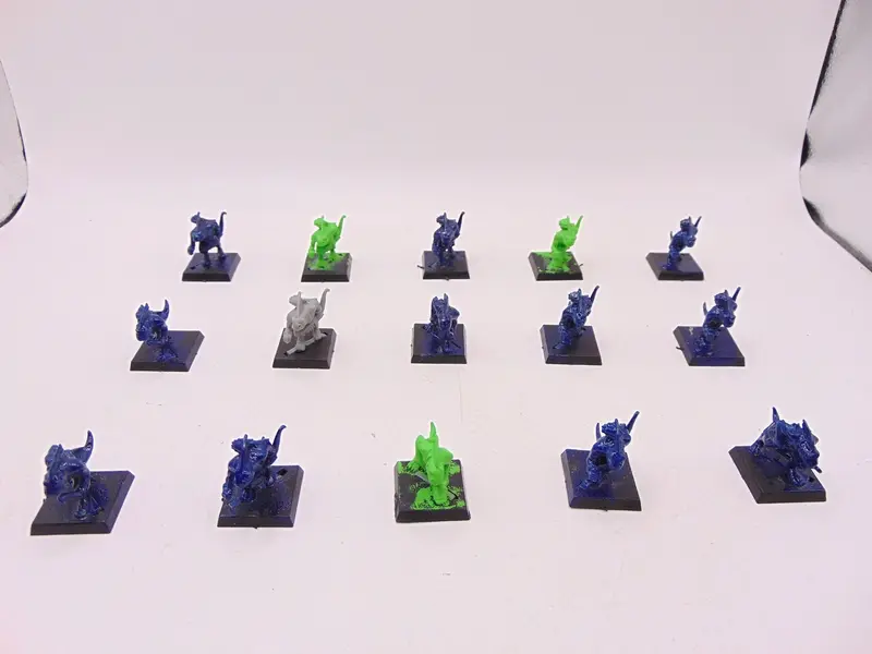 Skinks