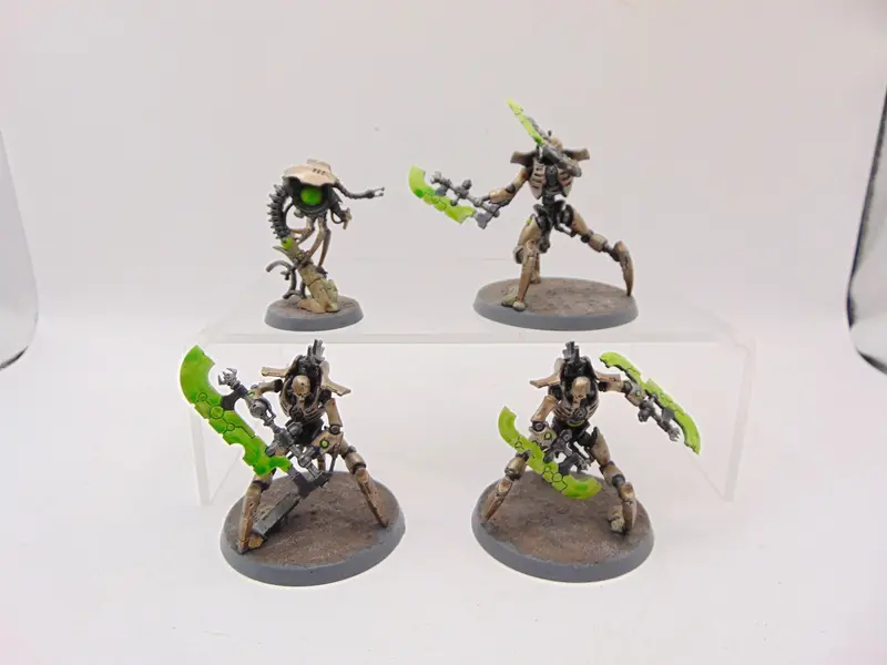 Skorpekh Destroyers