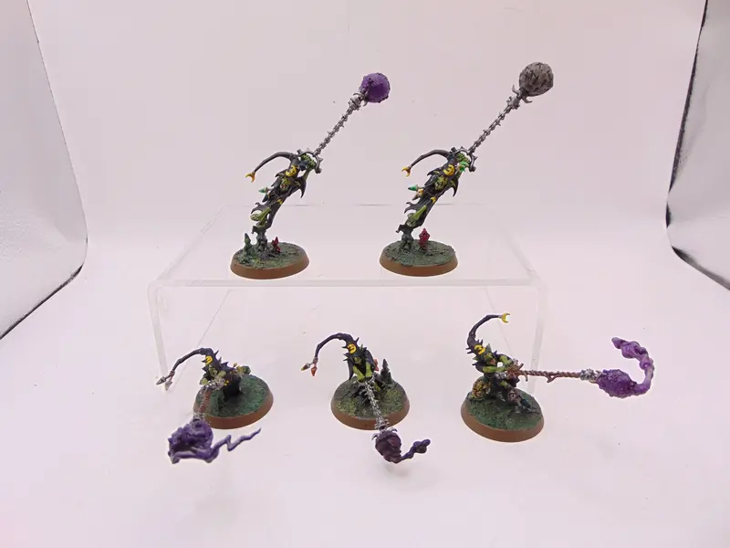 Sporesplatta Fanatics