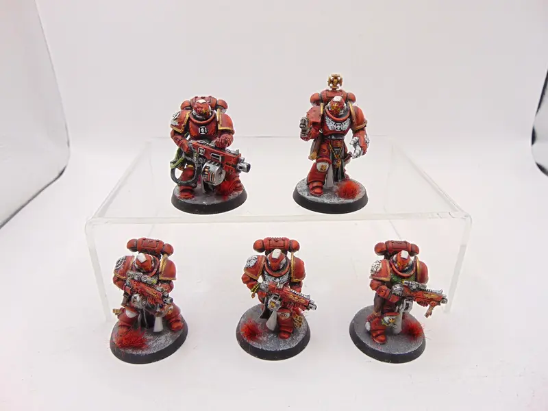 Sternguard Veterans
