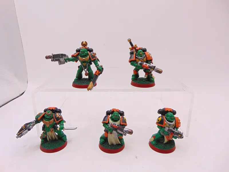 Sternguard Veterans