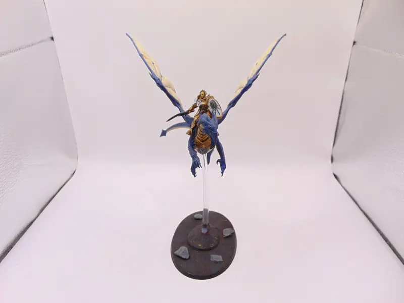 Stormdrake Guard