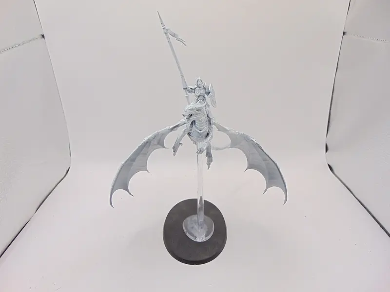 Stormdrake Guard