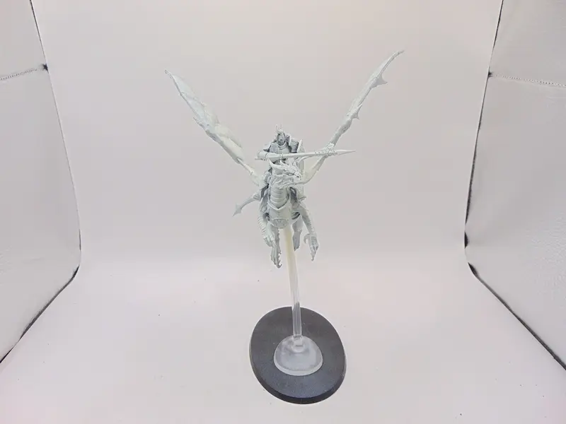 Stormdrake Guard