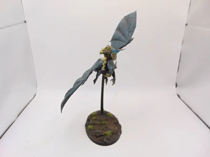Stormdrake Guard