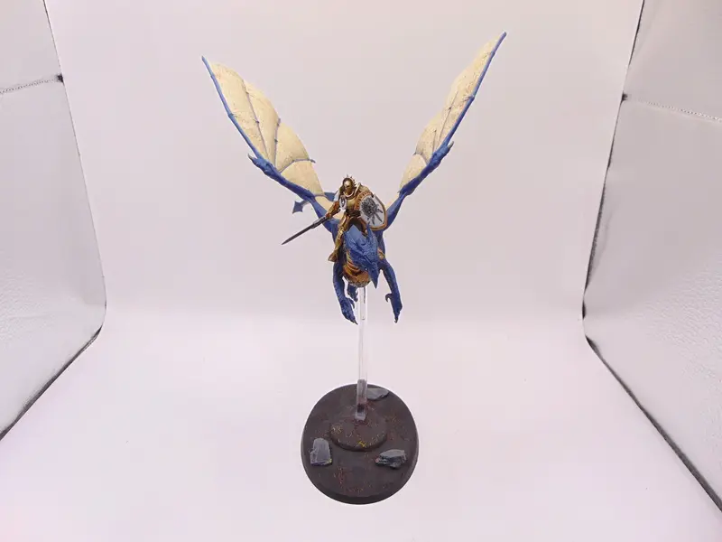 Stormdrake Guard