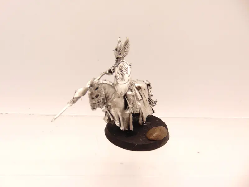 Swan Knight of Dol Amroth