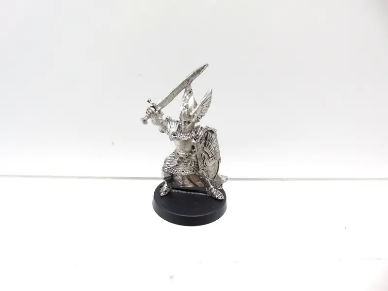 Swan Knights of Dol Amroth