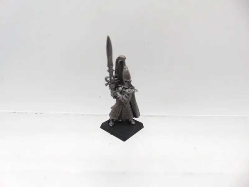 Swordmaster Champion