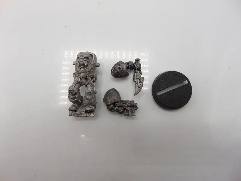 Terminator Librarian