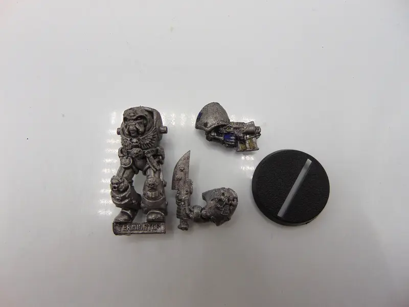 Terminator Librarian