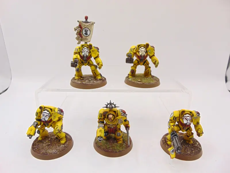 Terminator Squad