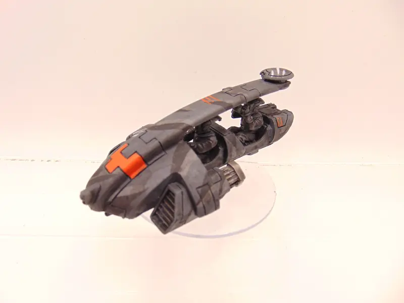 Tetras