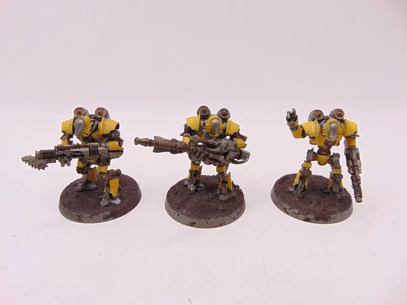 Thallax Cohort