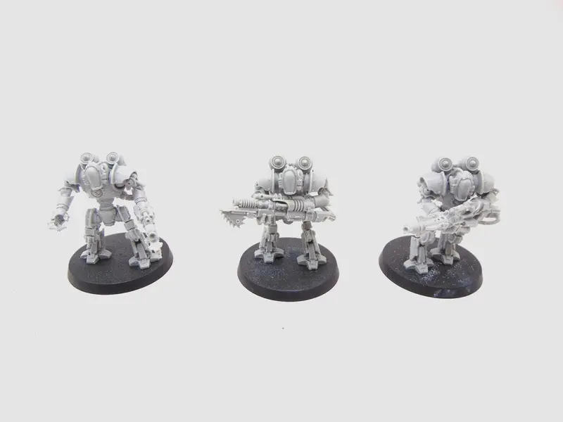 Thallax Cohort