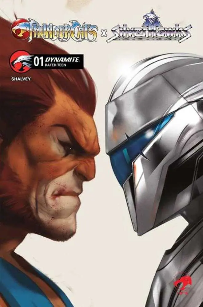 Thundercats X Silverhawks #1 Cover D Ben Oliver Variant
