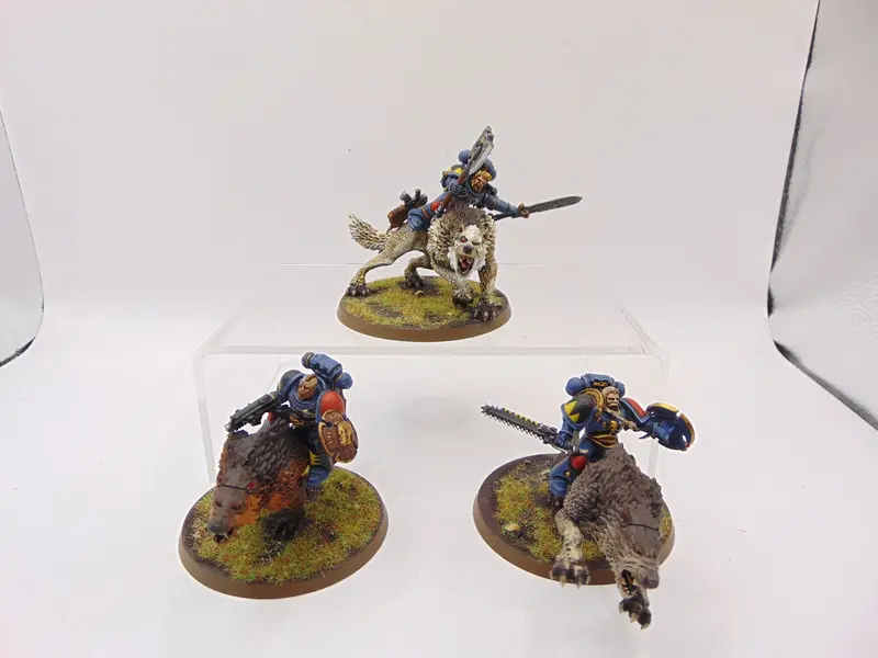 Thunderwolf Cavalry