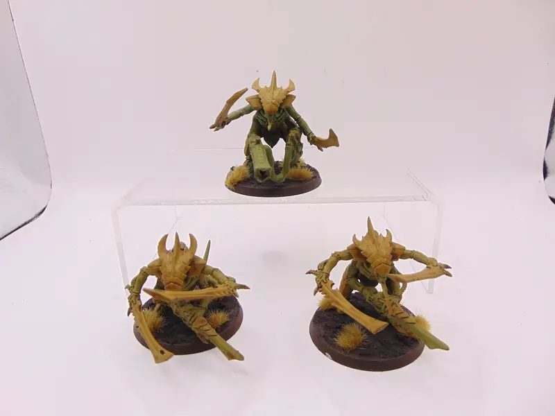 Tyranid Warriors