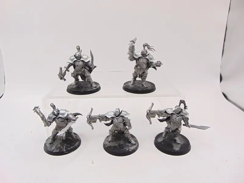 Vanguard Hunters
