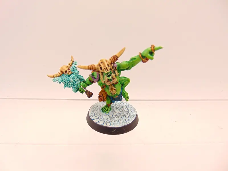Wardokk / Savage Orc Shaman
