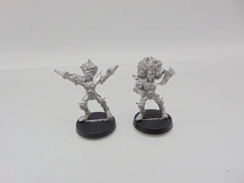 Witch Elves