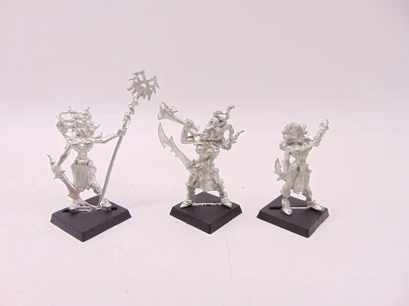Witch Elves with Standard & Musician
