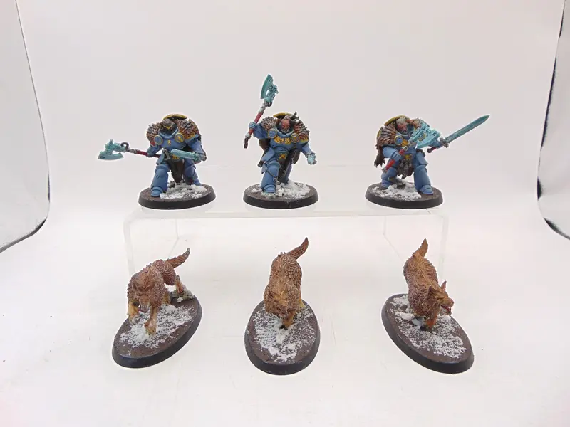 Wolf Guard Headtakers