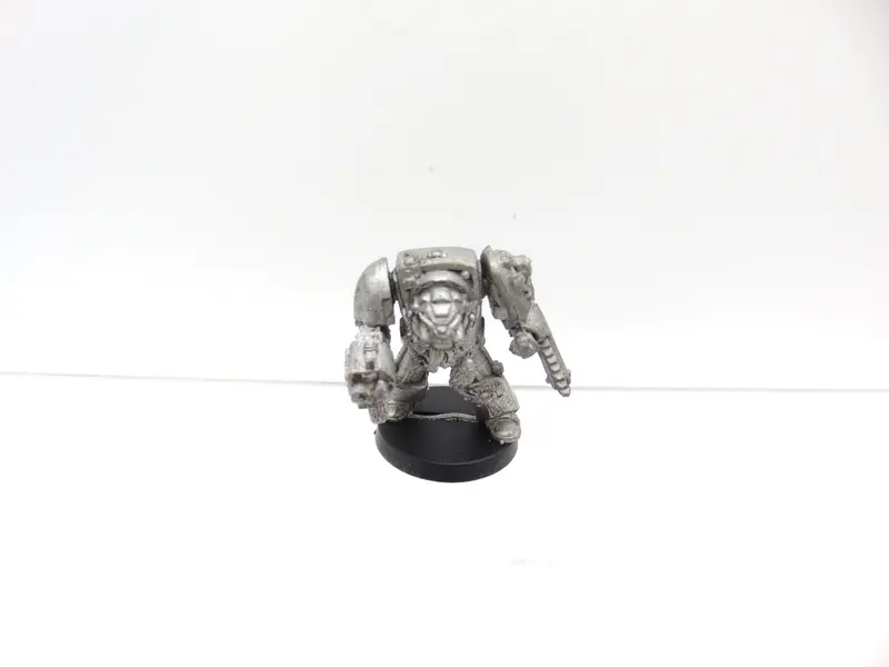 Wolf Guard Terminator