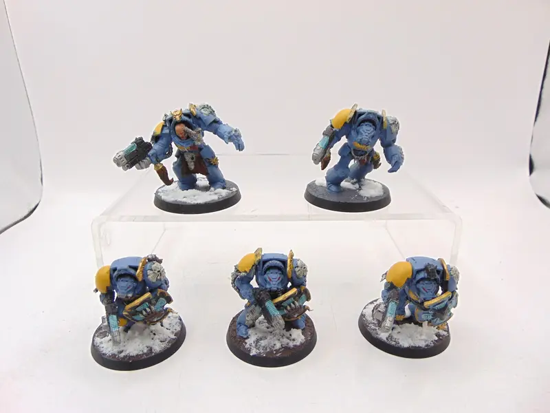 Wolf Guard Terminators