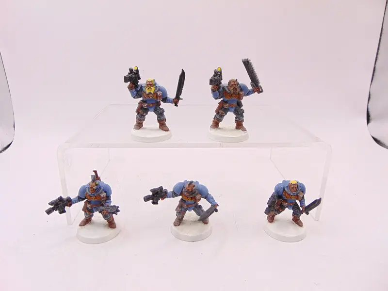 Wolf Scouts